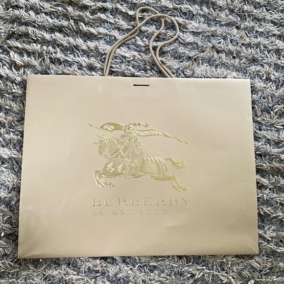 Burberry Large Paper Bag - Picture 3 of 5